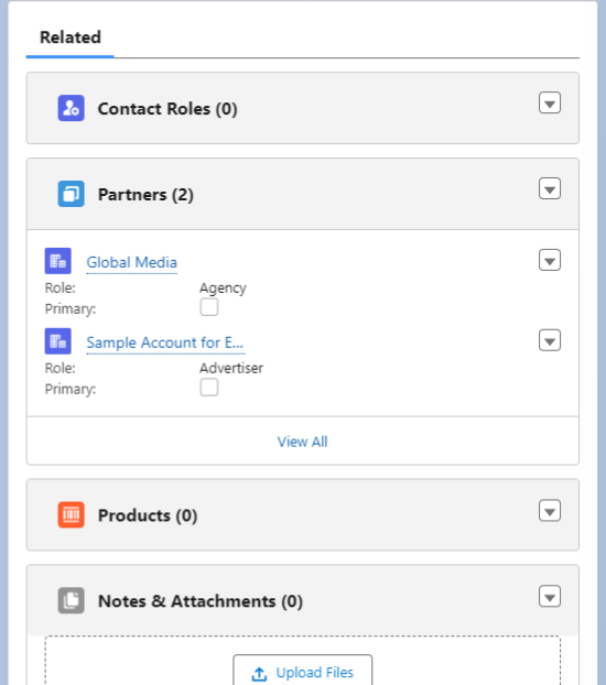 Salesforce Record Page Example